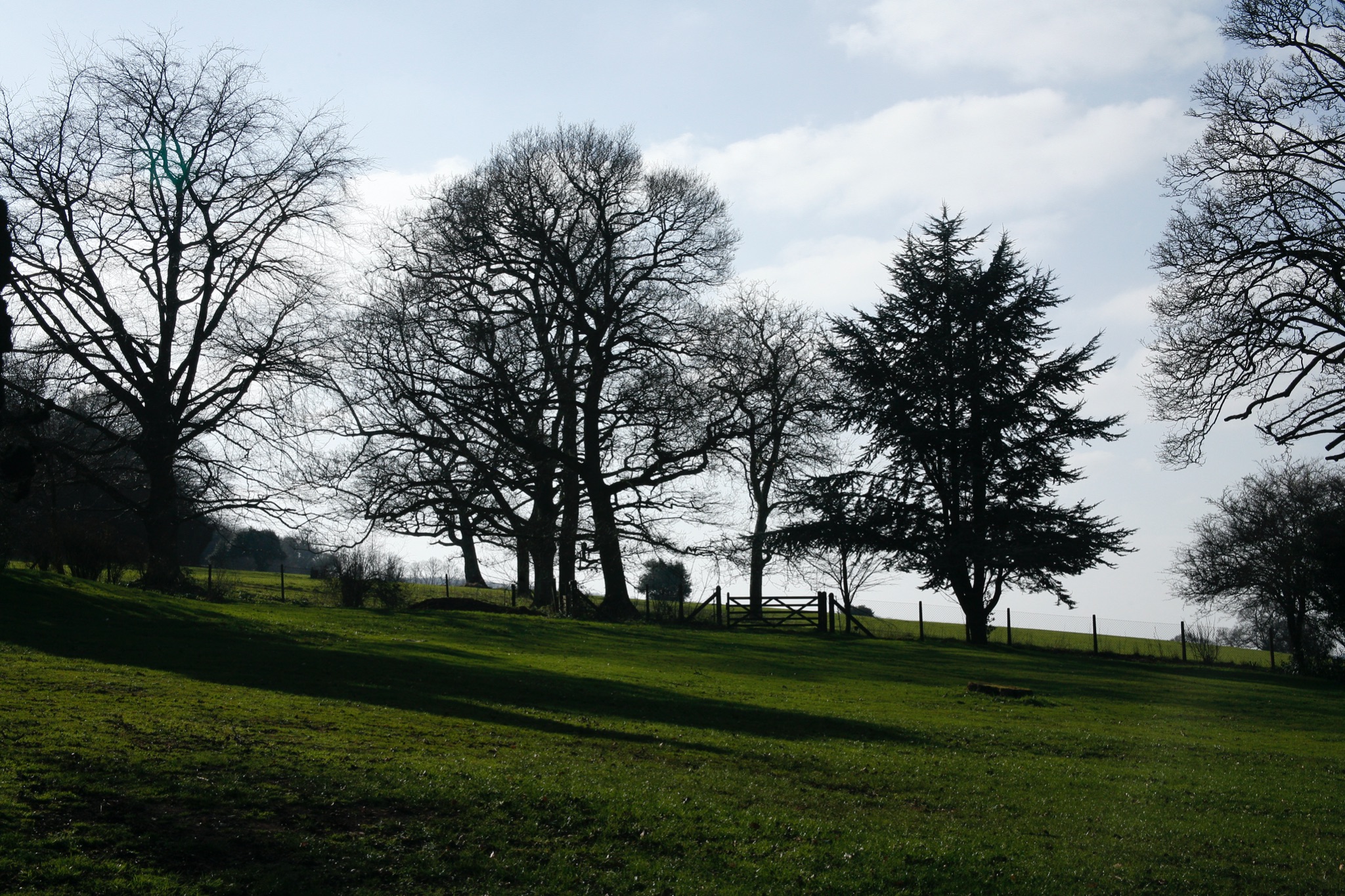 Coombe Lodge